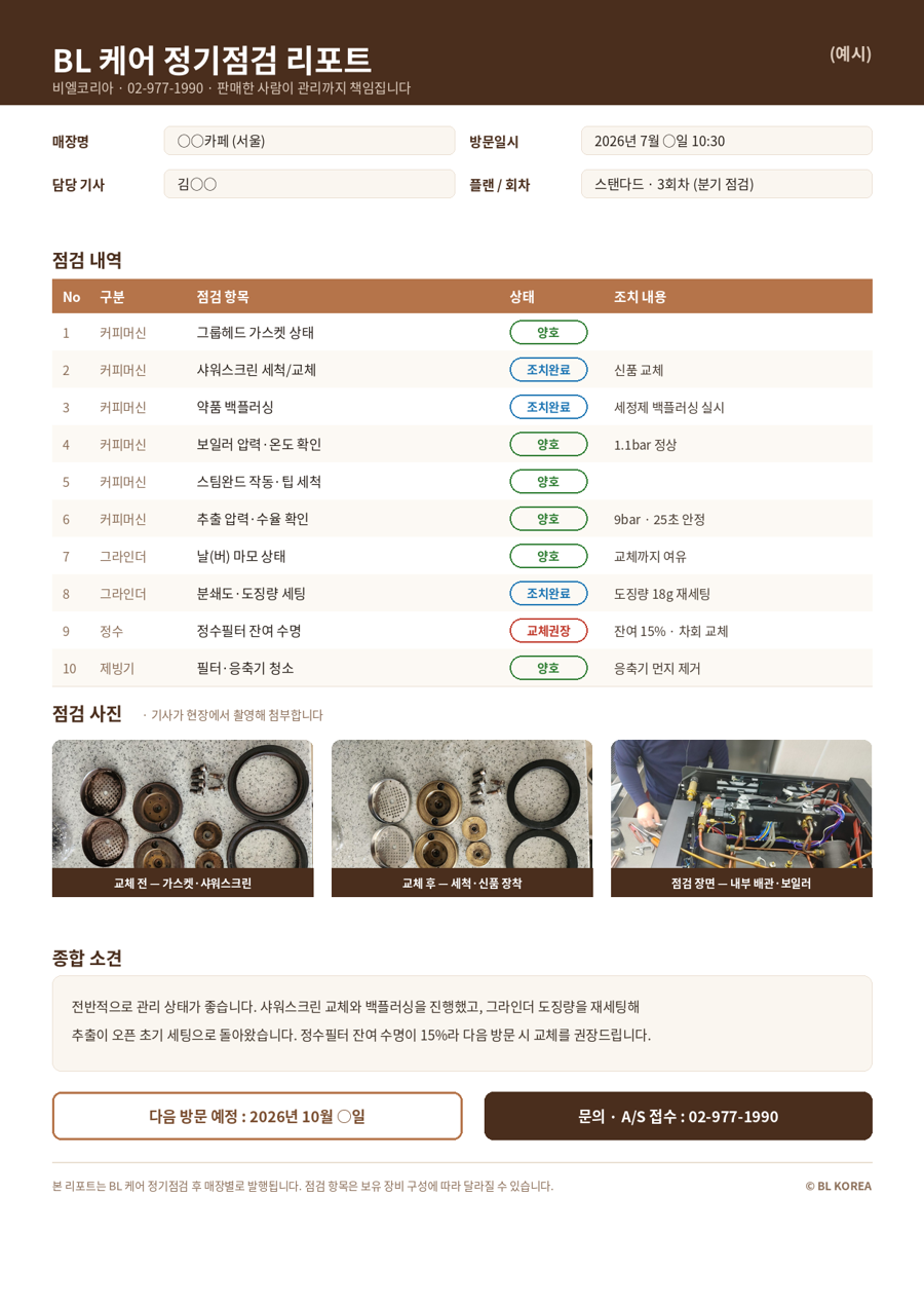 BL 케어 정기점검 리포트 예시 — 점검 내역, 현장 사진, 종합 소견